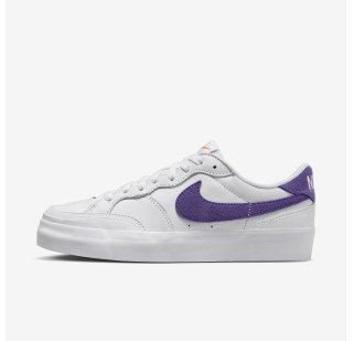 Кеды Nike Sb Zoom Pogo Plus Iso DZ4916-100