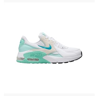 Женские кроссовки Nike Wmns Air Max Excee CD5432-127