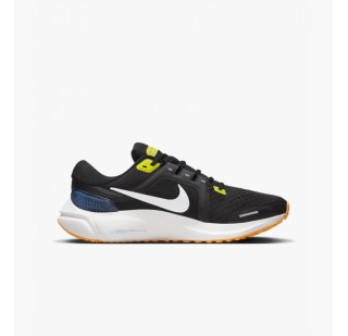 Кросівки Nike Air Zoom Vomero 16 DA7245-012