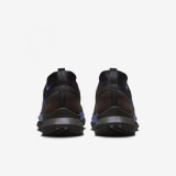 Кроссовки Nike React Pegasus Trail 4 Gore-Tex FB2193-200_image_5