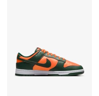 Мужские кроссовки Nike Dunk Low Retro DD1391-300