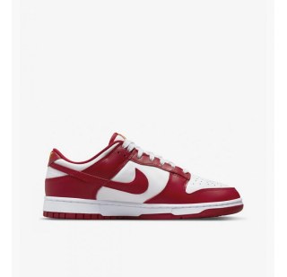 Мужские кроссовки Nike Dunk Low Retro DD1391-602