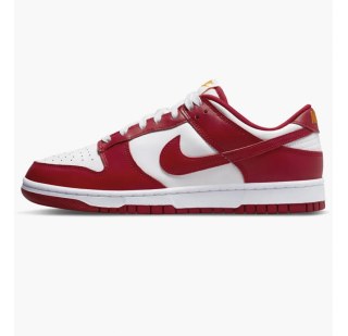 Мужские кроссовки Nike Dunk Low Retro DD1391-602