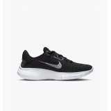 Жіночі кросівки Nike Flex Experience Rn 11 Nn DD9283-001_image_1