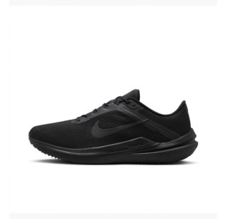 Чоловічі кросівки Nike Air Winflo 10 DV4022-001