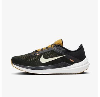 Чоловічі кросівки Nike Air Winflo 10 DV4022-009