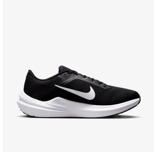 Кросівки Жіночі Nike Winflo 10 Beige DV4023-003