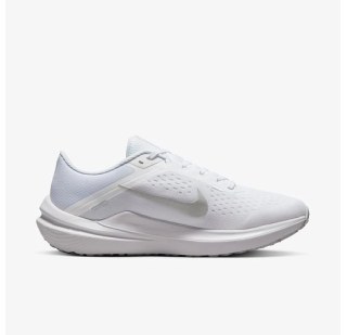 Кросівки Жіночі Nike Winflo 10 Beige DV4023-102
