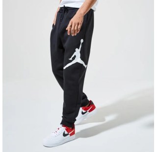 Брюки мужские Jordan Jumpman Logo Flc Pant BQ8646-010