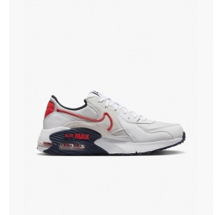 Кросівки чоловічі Nike Air Max Excee DZ0795-013