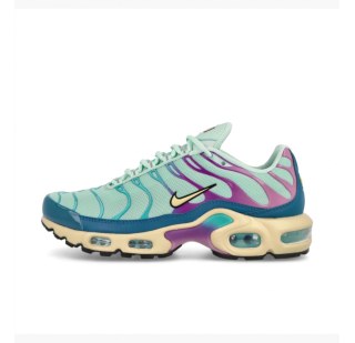 Кросівки Nike Air Max Plus DZ3671-300