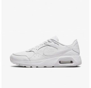 Чоловічі кросівки Nike Air Max SC Lea DH9636-101