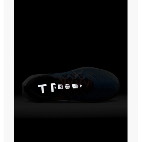 Кроссовки Nike Pegasus Trail 4 DJ6158-401_image_3