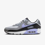 Кросівки Nike Air Max 90 DM0029-014_image_2