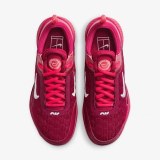 Кросівки Nike Court Air Zoom Nxt DV3282-600_image_5