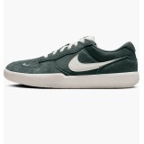 Кроссовки мужские Nike SB Force 58 DV5477-301_image_1