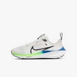 Кросівки Nike Air Zoom Pegasus 40 (Gs) Dx2498-006_image_2