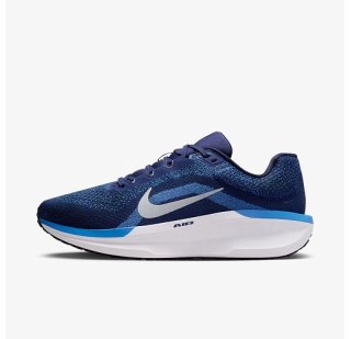 Кросівки Nike Air Winflo 11 FJ9509-400