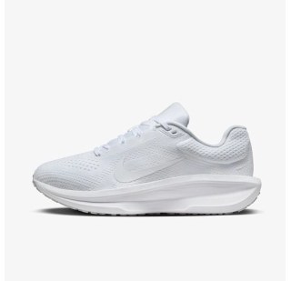 Кросівки Nike Air Winflo 11  FJ9510-100