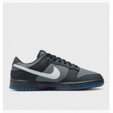 Кроссовки Nike Dunk Low Retro  FV0384-001_image_1