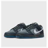 Кроссовки Nike Dunk Low Retro  FV0384-001_image_8