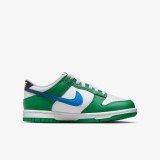 Кросівки Nike Dunk Low FZ4357-300_image_1