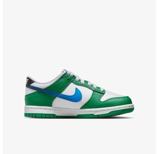 Кросівки Nike Dunk Low FZ4357-300