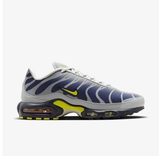 Кроссовки Nike Air Max Plus FZ4622-001