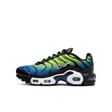 Жіночі кросівки Nike Air Max Plus HF0093-400_image_1