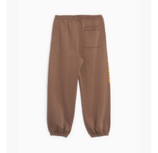 Штани Air Jordan X Psg Fleece Pants Brown DZ2949-274