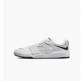 Кросівки Nike Sb Ishod Wair Dz5648-101