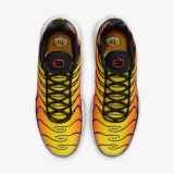 Кроссовки мужские Nike Air Max Plus 2024 HF0552-001_image_8