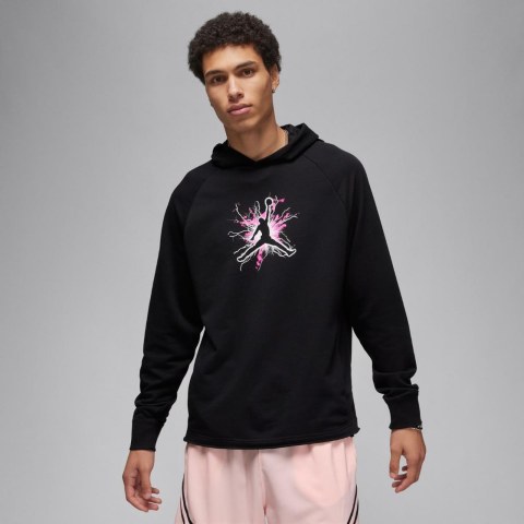 Чоловіча толстовка Jordan M Dri FN5812-010_image_2