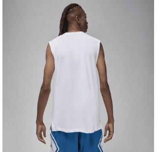 Майка чоловіча Nike Jordan Sport Dri-FIT FN5856-100