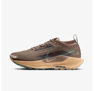 Женские кроссовки Nike W Pegasus Trail 5 GTX FQ0912-200