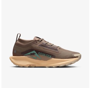 Женские кроссовки Nike W Pegasus Trail 5 GTX FQ0912-200