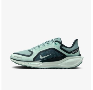 Женские кроссовки Nike W Air Zm Pegasus 41 GTX FQ1357-003