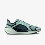 Женские кроссовки Nike W Air Zm Pegasus 41 GTX FQ1357-003_image_1