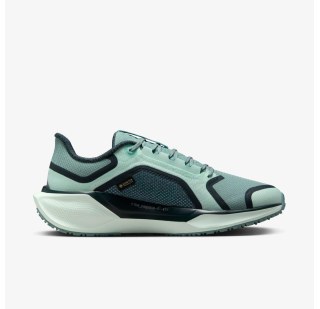 Женские кроссовки Nike W Air Zm Pegasus 41 GTX FQ1357-003