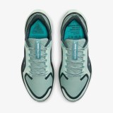 Женские кроссовки Nike W Air Zm Pegasus 41 GTX FQ1357-003_image_5