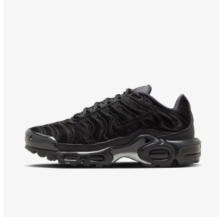 Жіночі кросівки Nike Air Max Plus FV1169-001