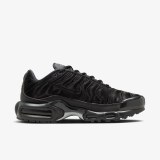 Жіночі кросівки Nike Air Max Plus FV1169-001_image_1