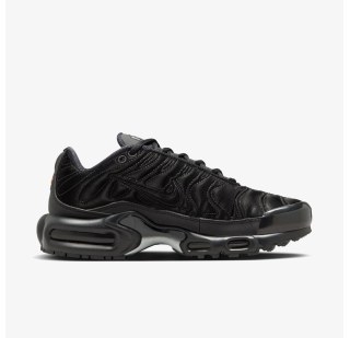 Жіночі кросівки Nike Air Max Plus FV1169-001