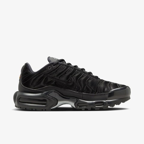 Жіночі кросівки Nike Air Max Plus FV1169-001_image_1
