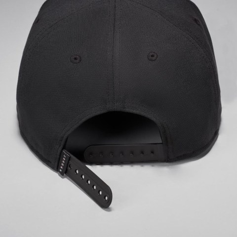 Мужская кепка Jordan U J Pro Cap S Fb Jumpman FV5296-010_image_4