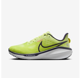 Кросівки жіночі Nike Vomero 17 FB8502-300
