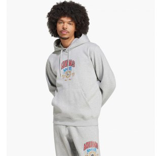 Худи мужские Adidas Hooded 1 Sweatshirt IX6770
