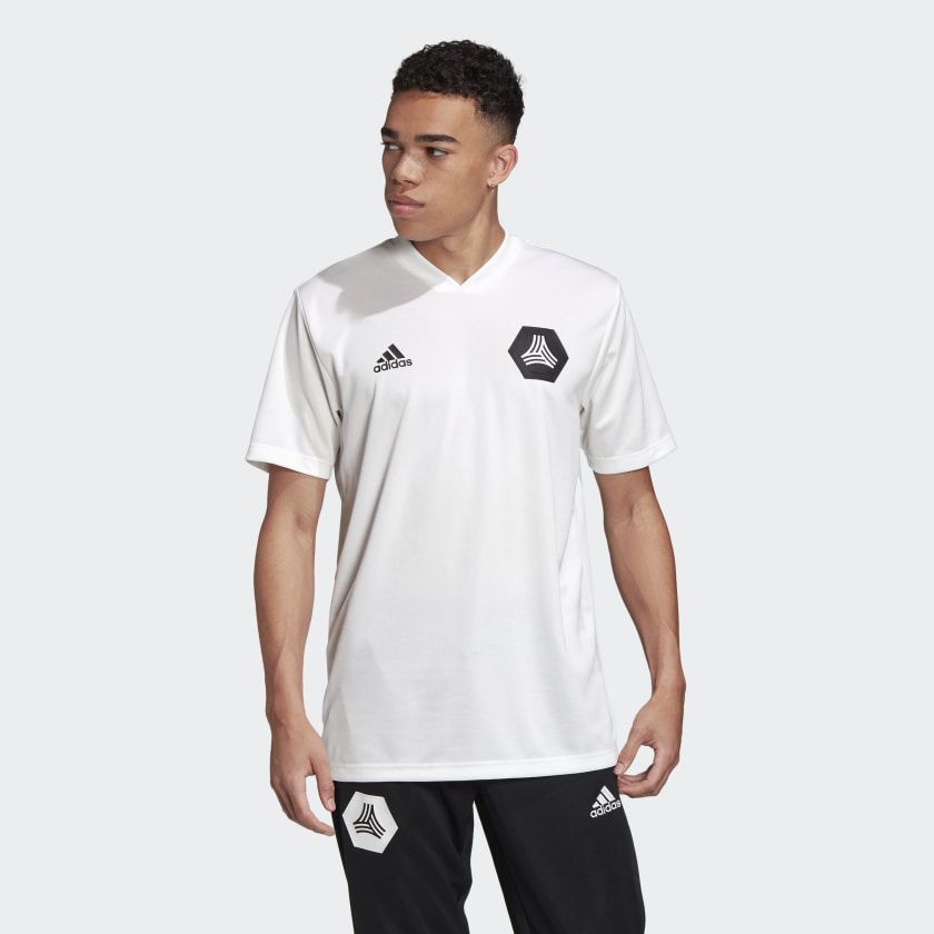 Мужская футболка Adidas TAN Training FJ6310_image_1