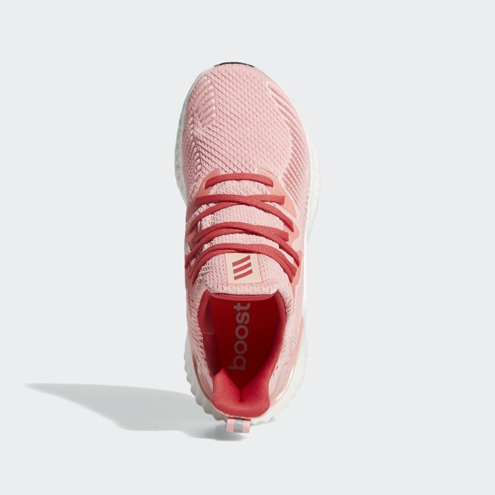 Кроссовки для бега Adidas Alphaboost EG1430_image_3