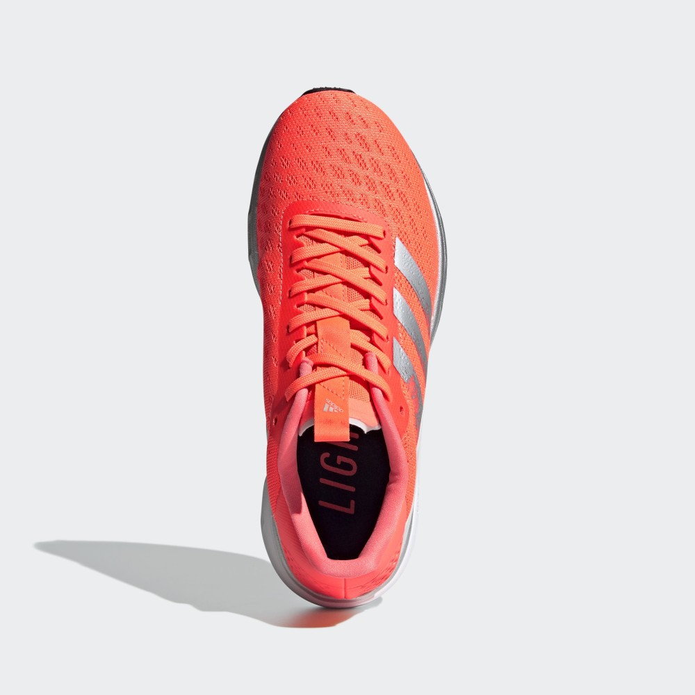 Кросівки для бігу Adidas Sl20 EG2046_image_8